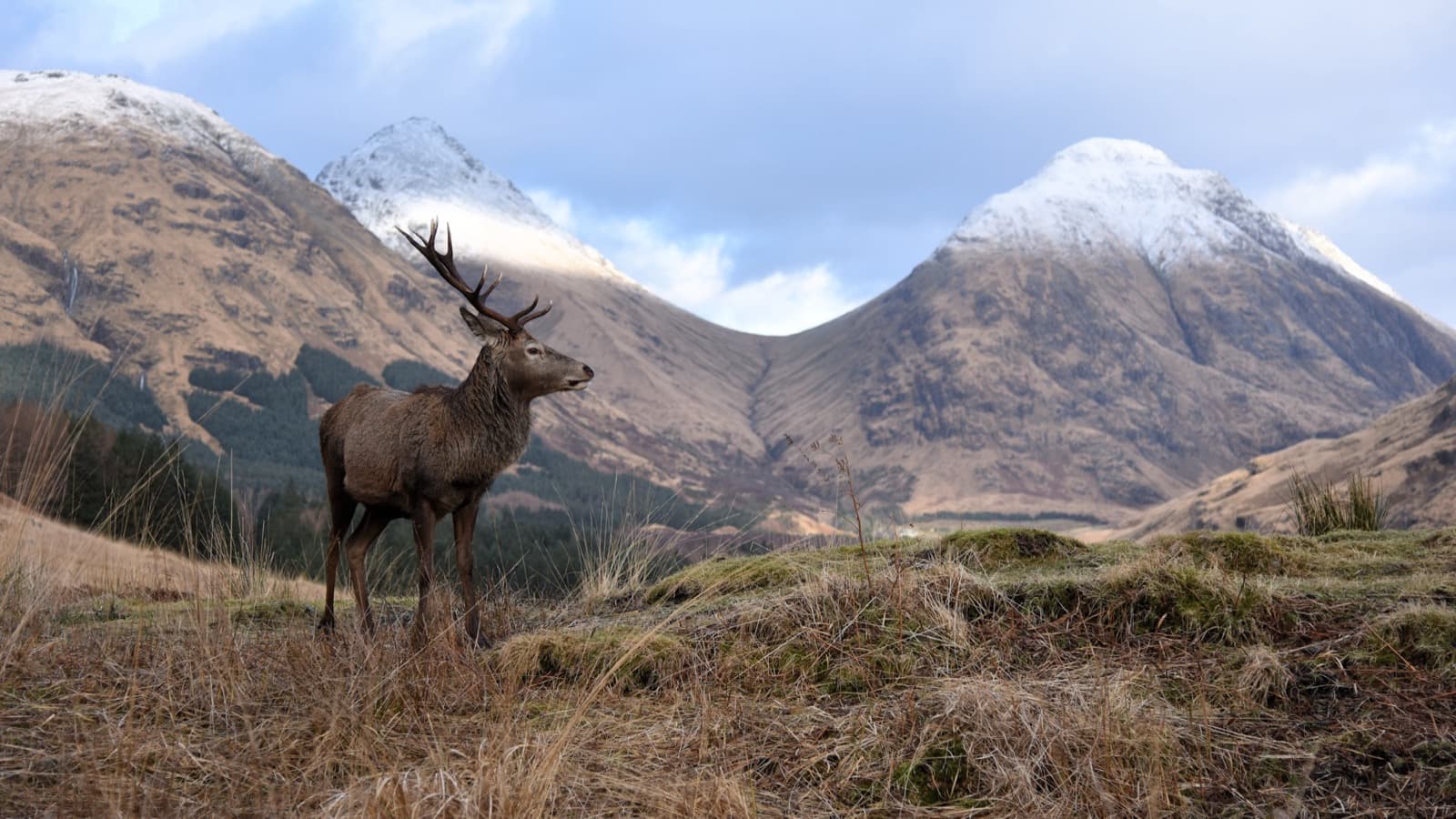 Glen Etive
