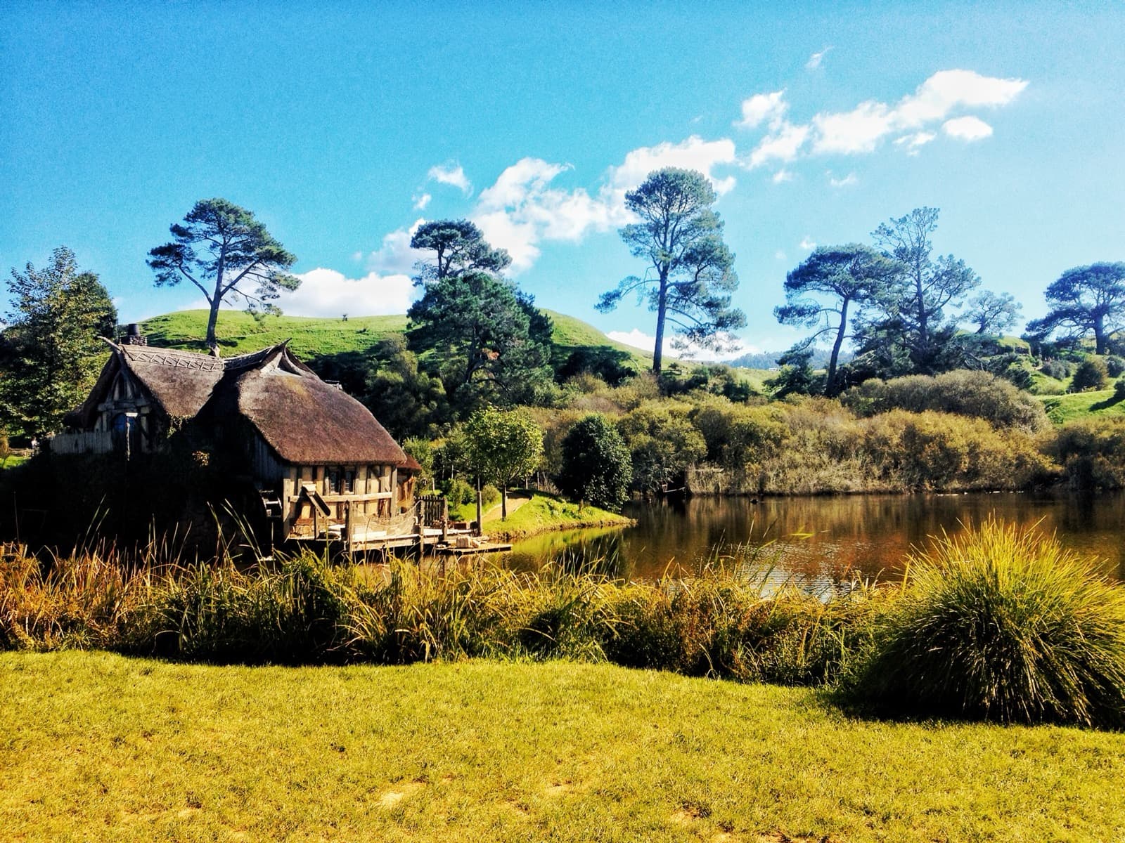 Hobbiton Movie Set