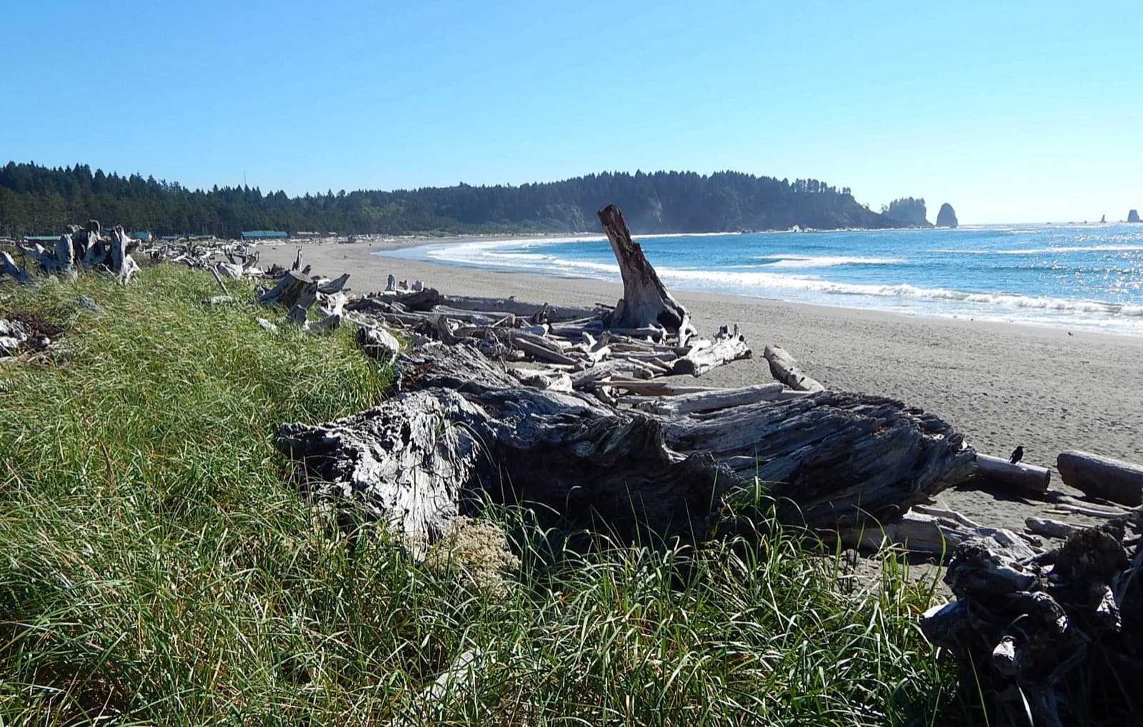 La Push (First Beach)