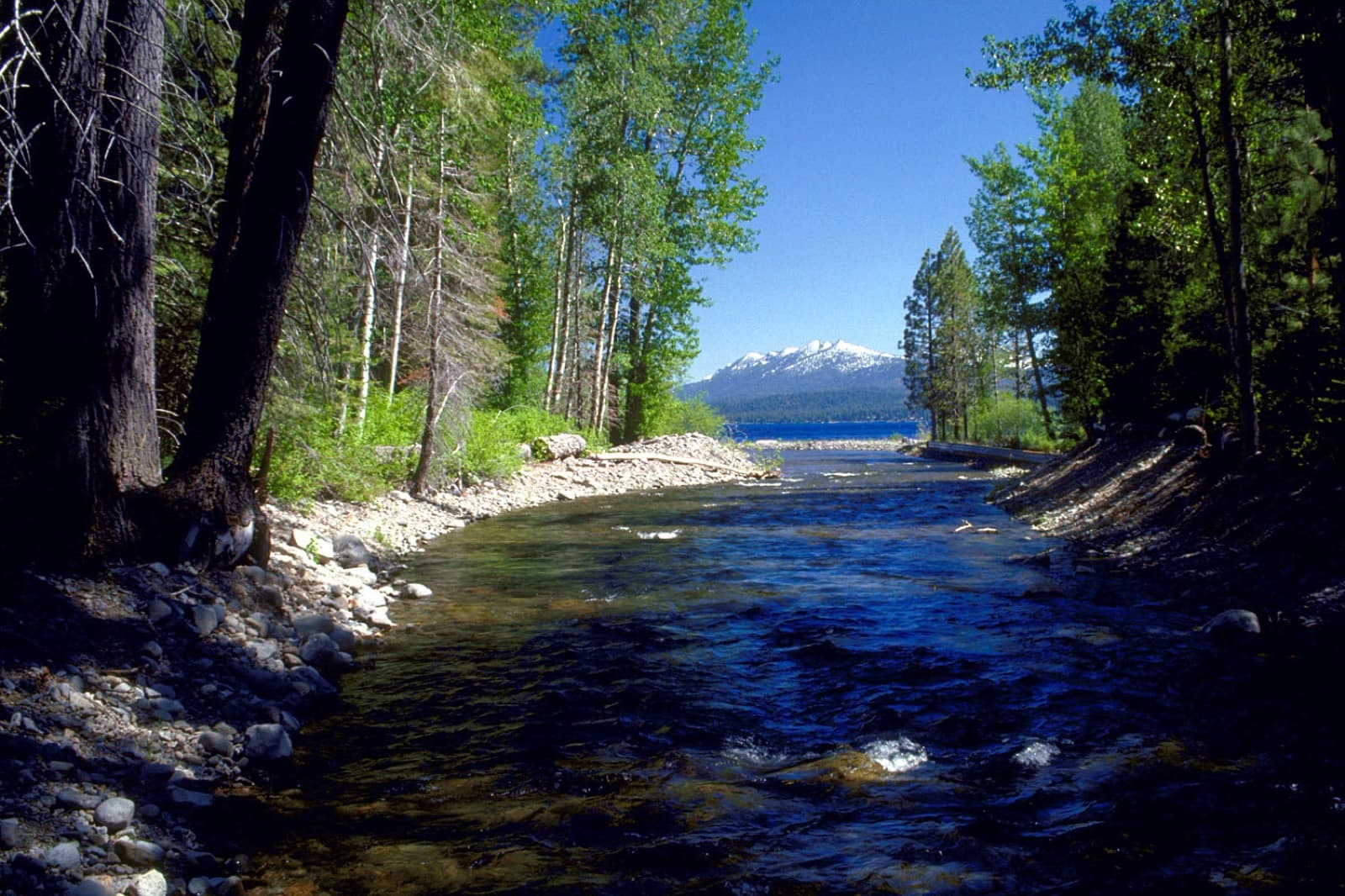 Lake Tahoe & the High Sierra