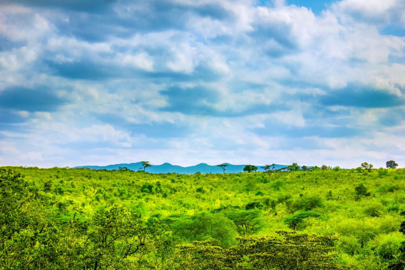 Ngong Hills